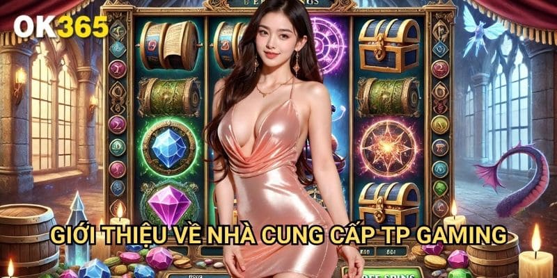 Giới Thiệu Về Nhà Cung Cấp TP Gaming
