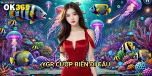 YGR cướp biển đi câu Ok365: Cuộc Phiêu Lưu Săn Kho Báu Dưới Đại Dương